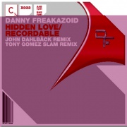 Hidden Love Recordable Remixes (Vinyl)