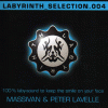 Labyrinth Selection 004