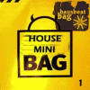 House Mini Bag 1 (WEB)