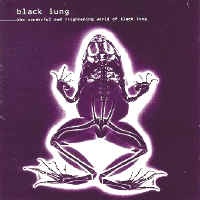 The Wonderful And Frightening World Of Black Lung (CD 1)