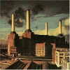 Pink Floyd @ Rare Species